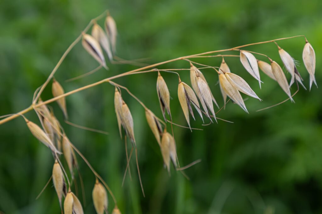 5 Best Farming Solicitors in Exeter - Explore advice for rural business matters
