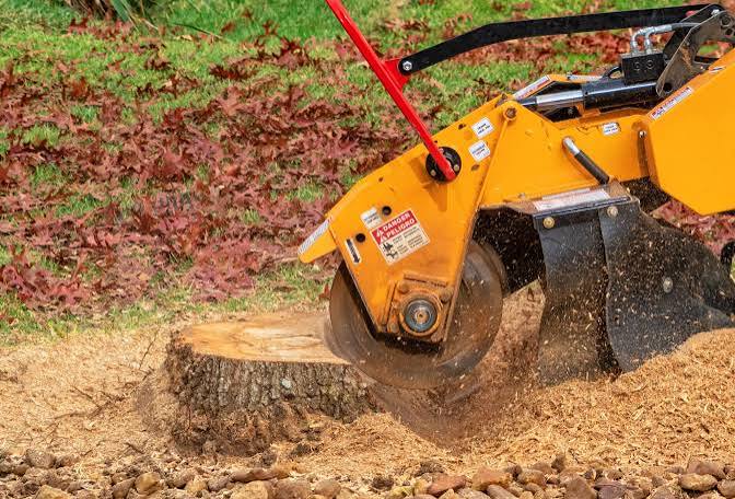 5 Best Stump Grinding Services in Dover - Explore clean removal of unsightly stumps