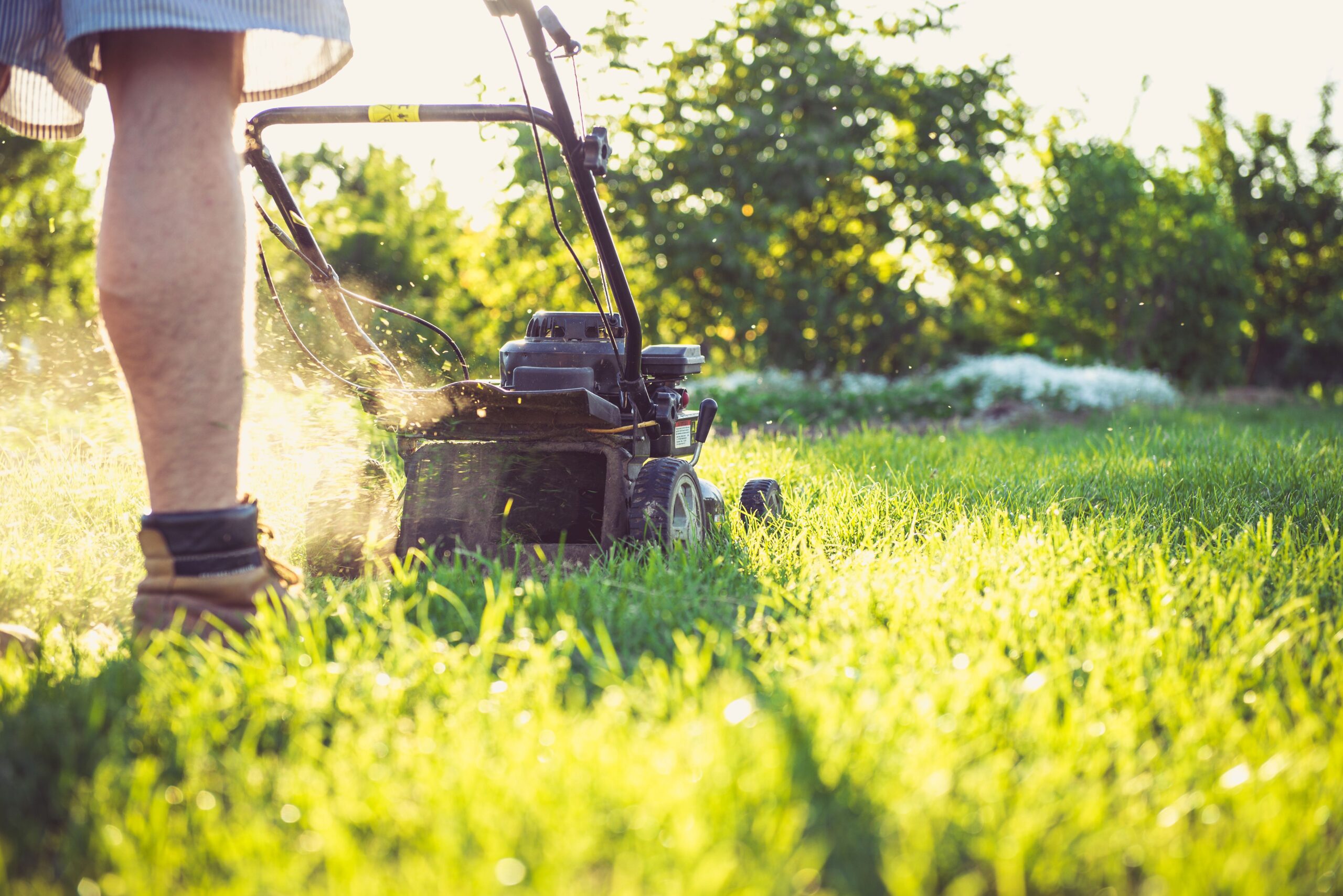 5 Best Lawn Care Services in Exeter - Explore maintenance for your garden lawn